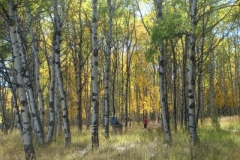 DSC03442