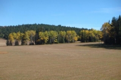 DSC03477