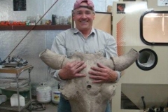 This buffalo skull is very heavy