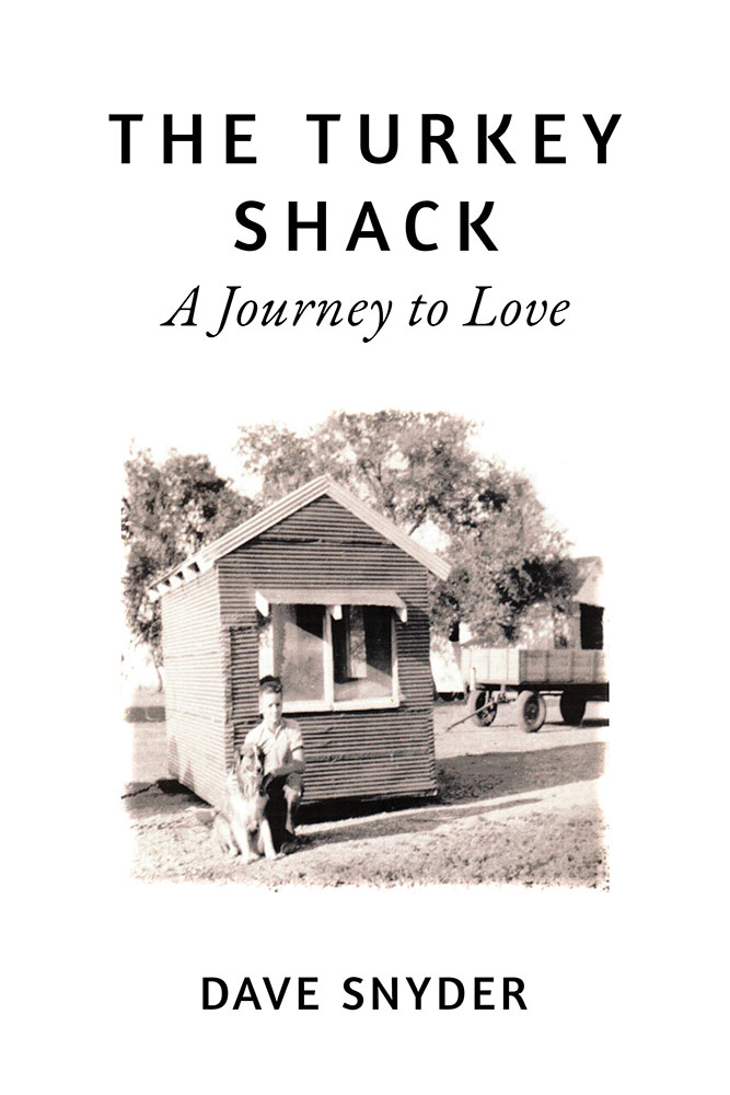 the shack book author